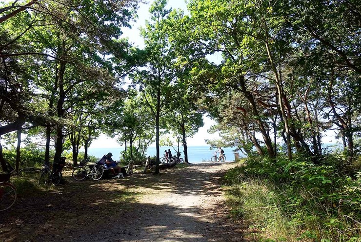 Den hyggelige skovsti fører dig til stranden foran Hotel GSH