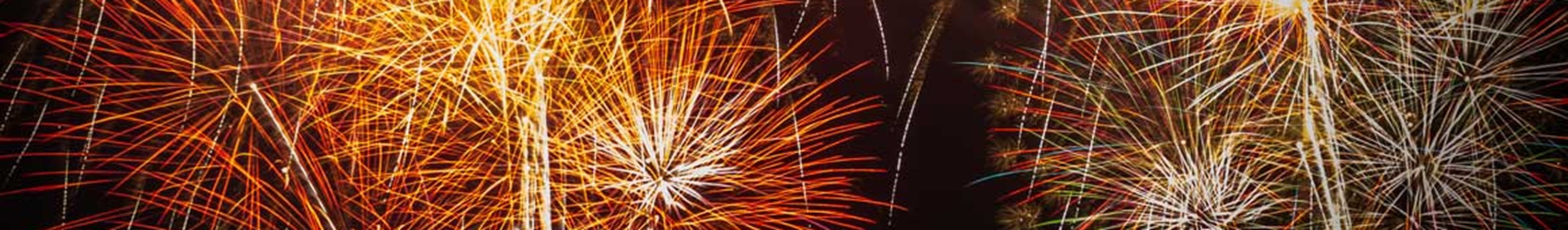 Griffen Nytår Fyrværkeri Web