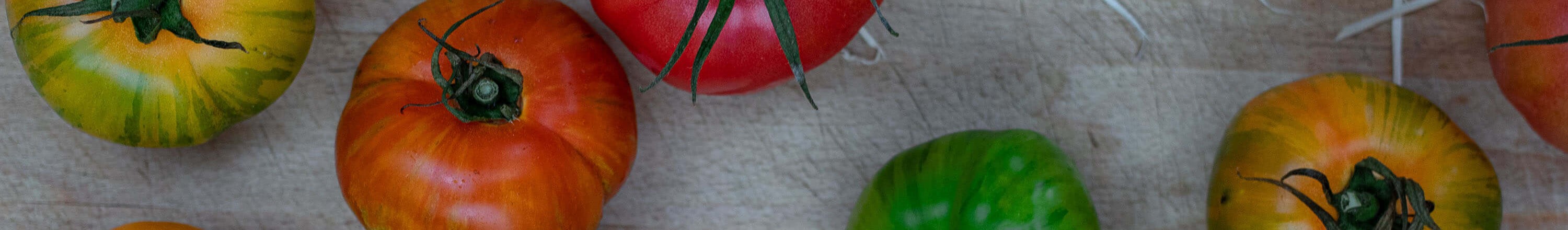 GSH Restaurant Oekologi Raavare