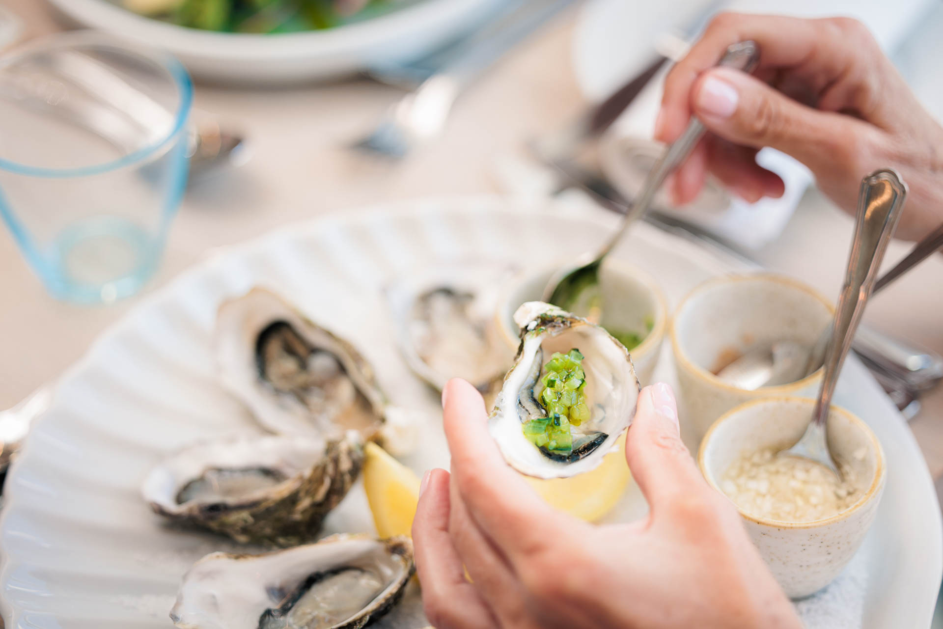 Fredensborg Badehotel Restaurant Fb Oesters Web