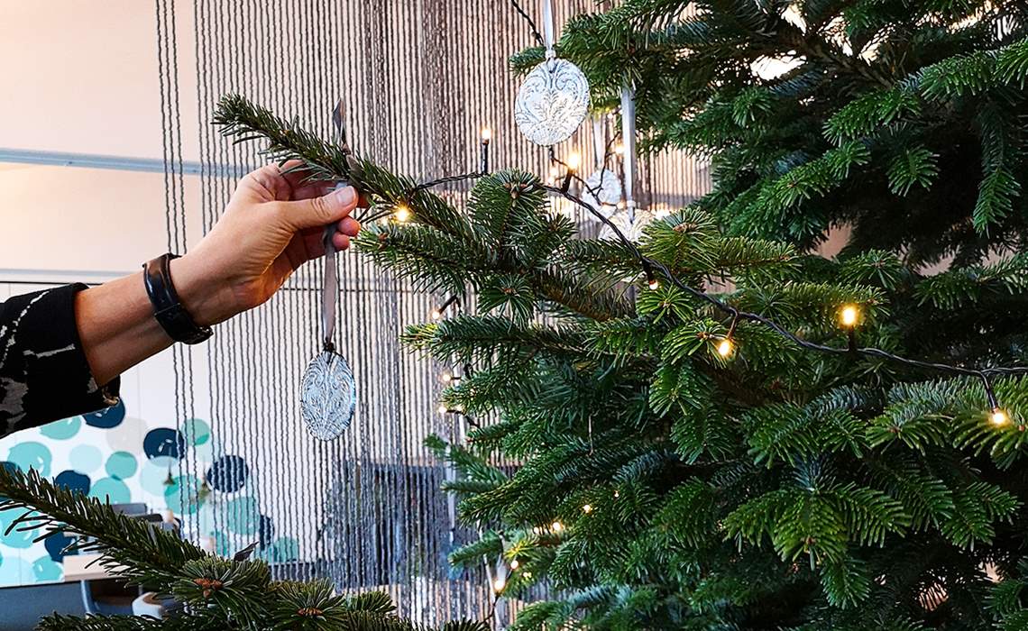 Griffen Spahotel Juletrae