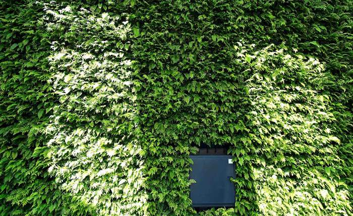 Sustainable solutions