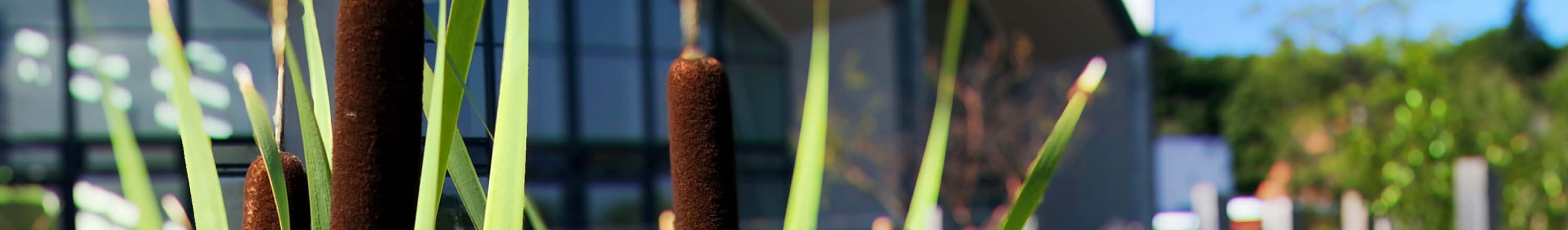 GSH Hotellet Ude Fra Haven