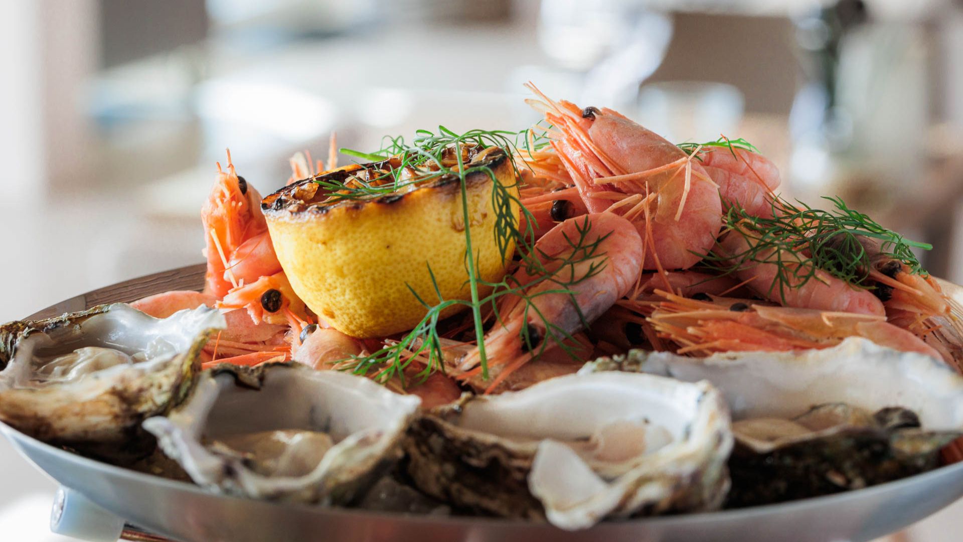 Fredensborg Badehotel Restaurant FB Fruits De Mer 4